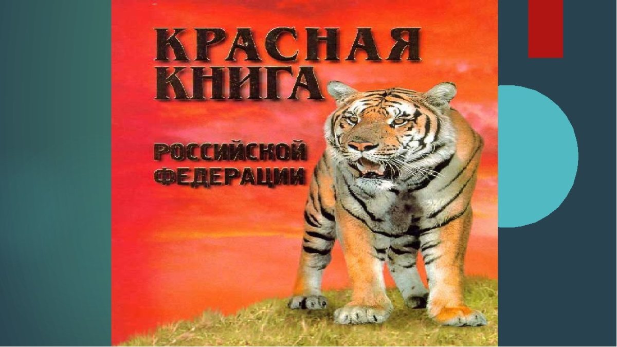 Проект красная книга России