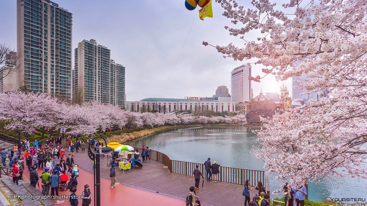 Сеул Южная Корея