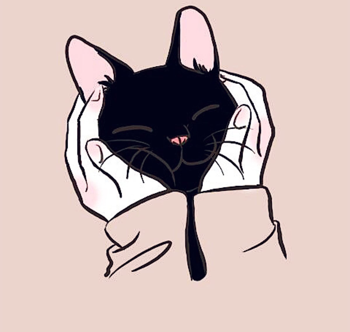 Эстетика кошек