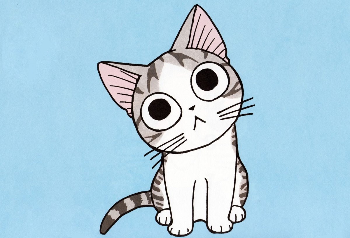 Кавайные котики любовь