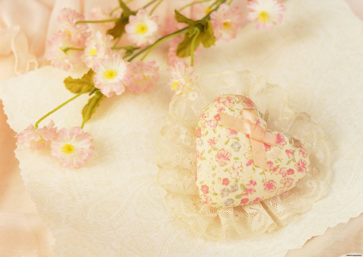 Обложка DVD свадьба