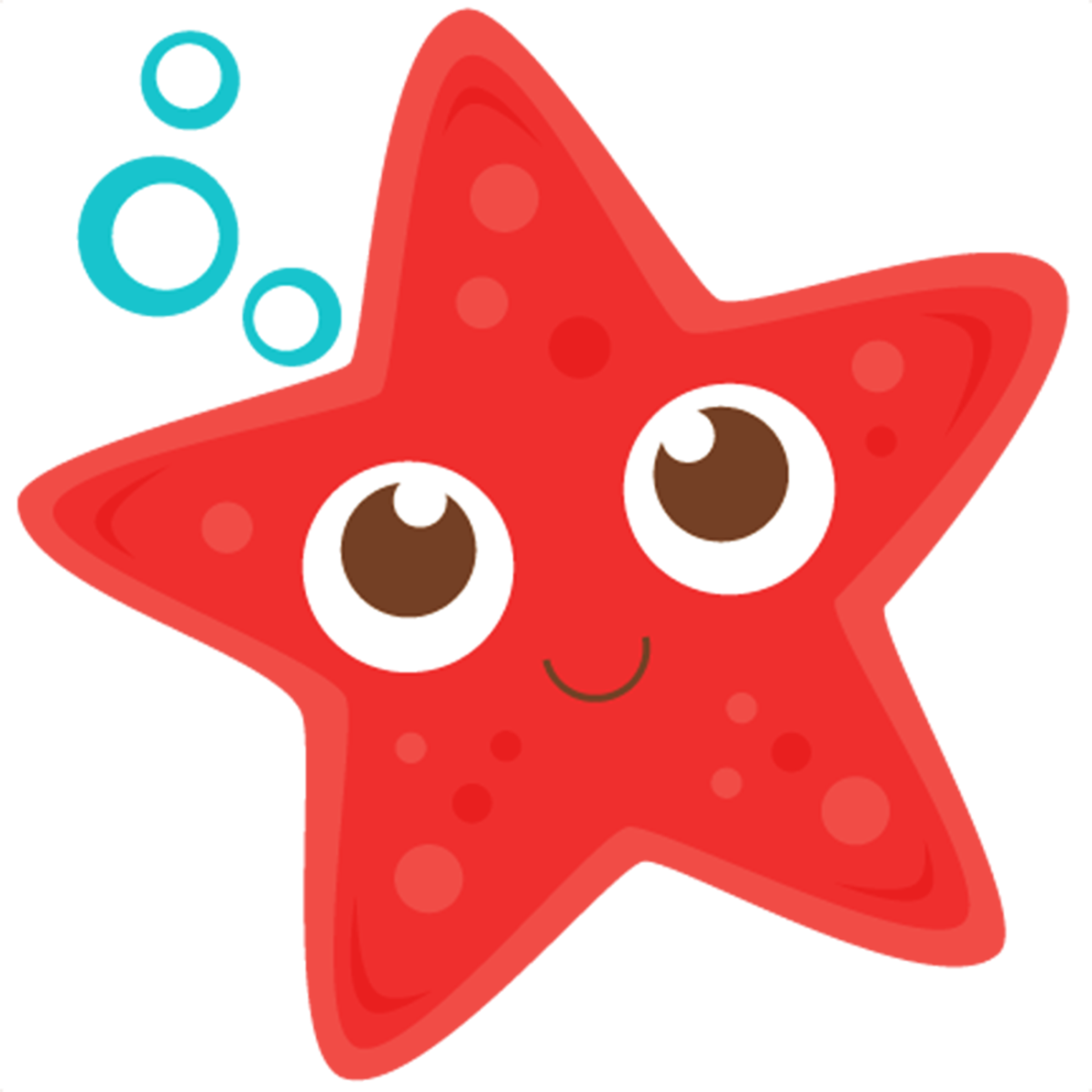 Морская звезда для детей