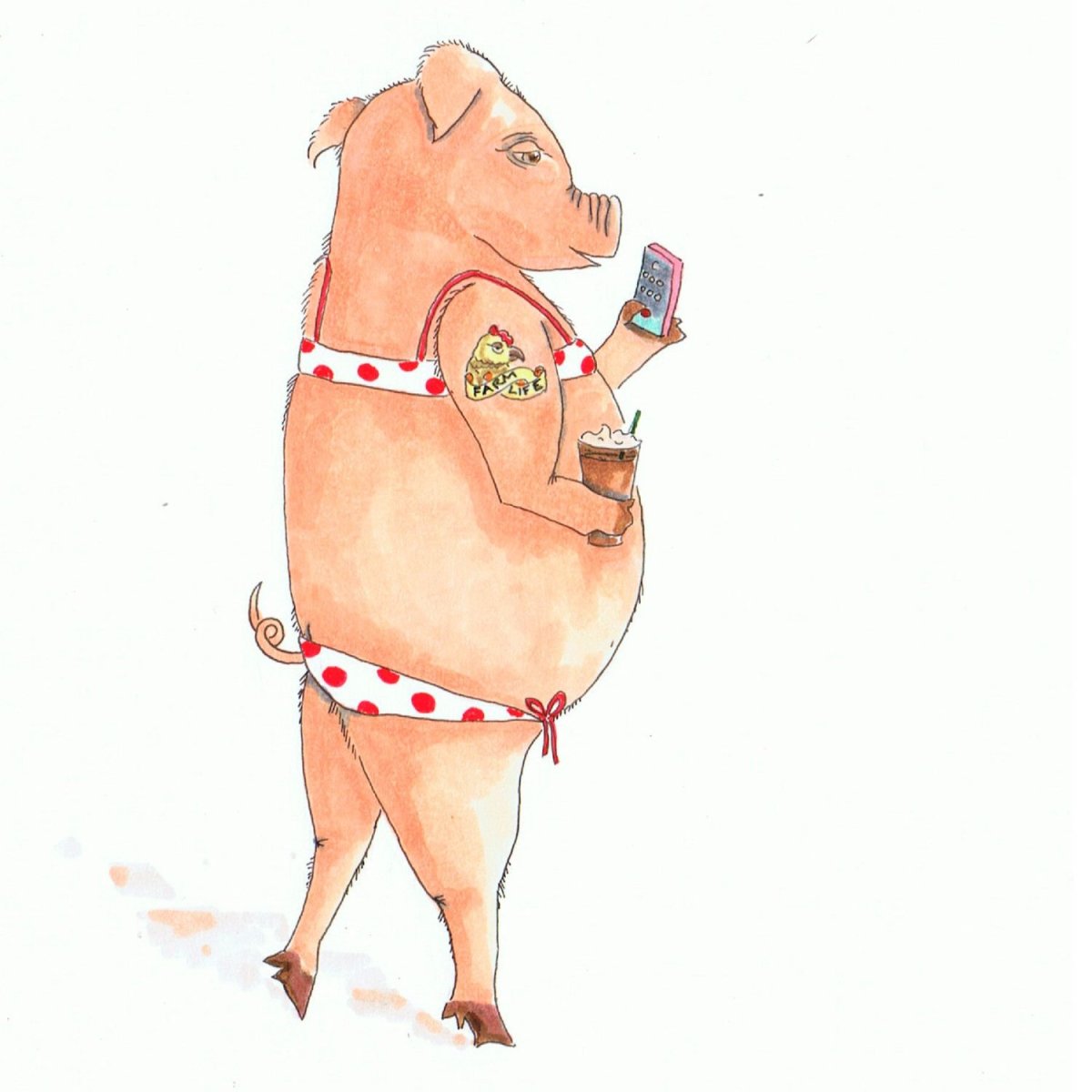 Смешные поросята рисунки