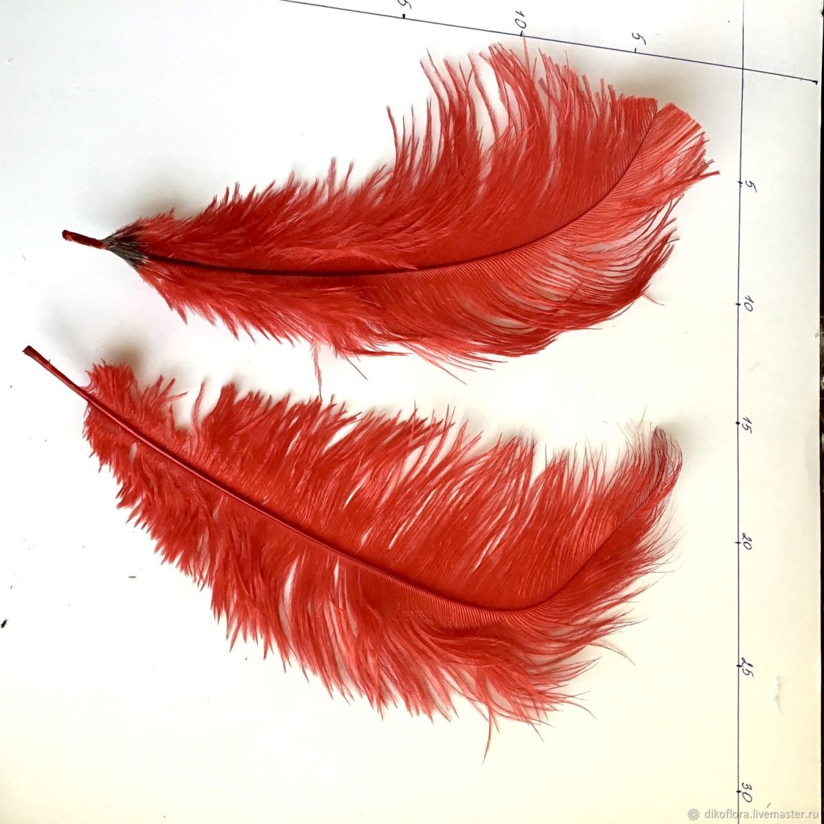 Птичьи перья в рукоделии