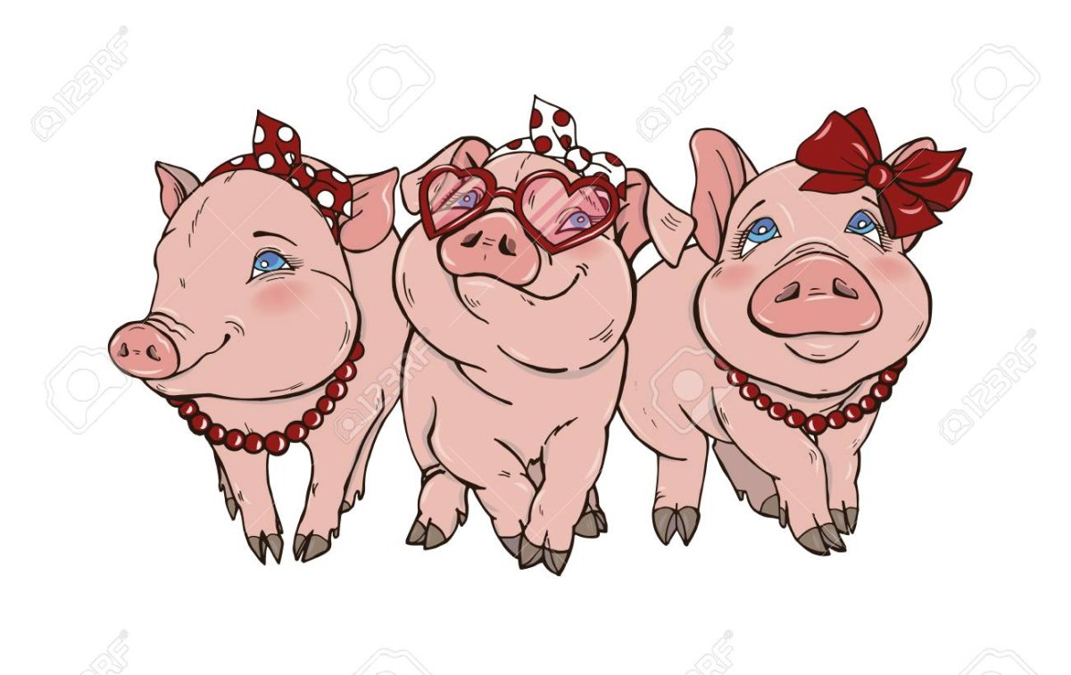 Подружка поросенка