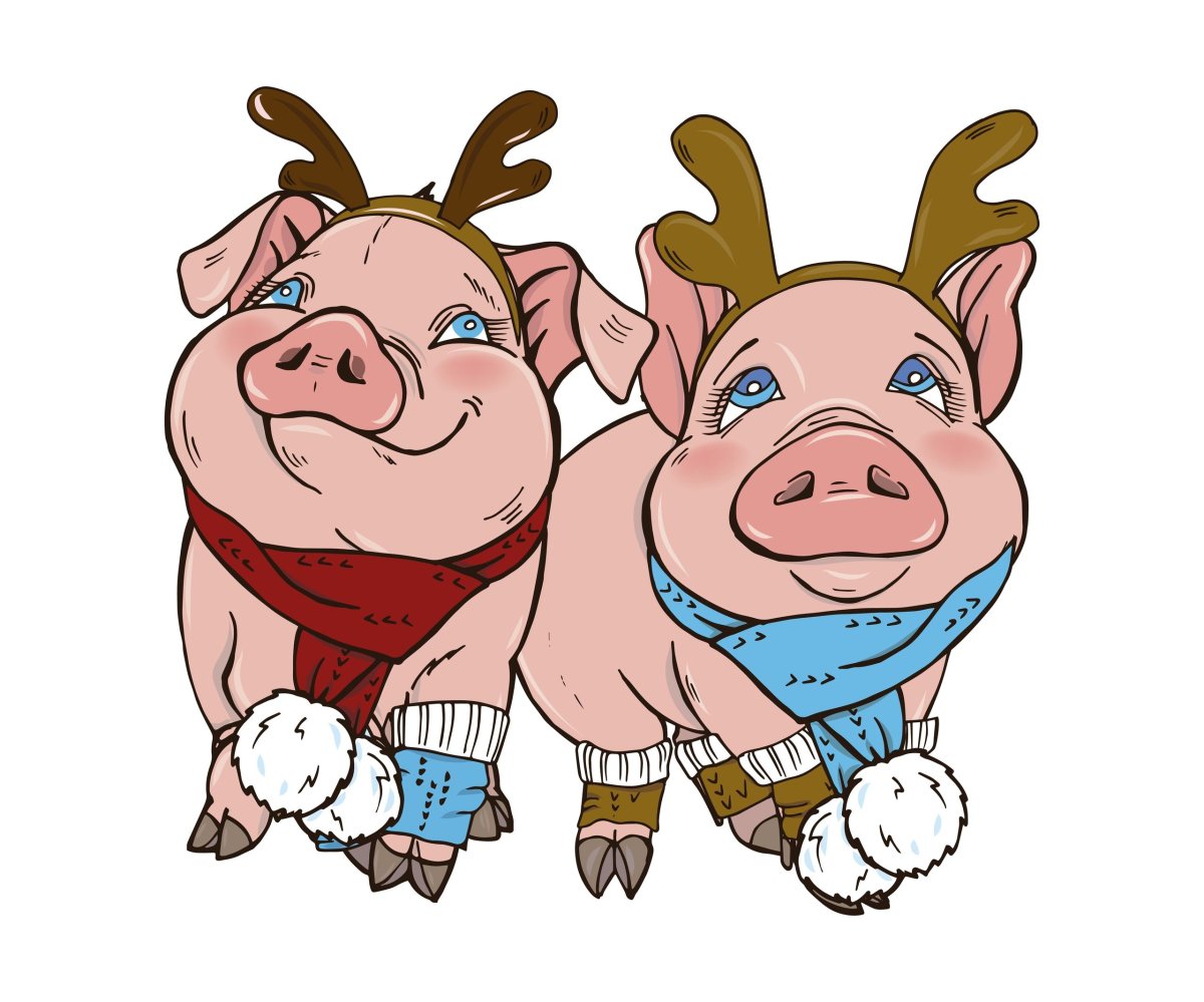 Символ года свинья