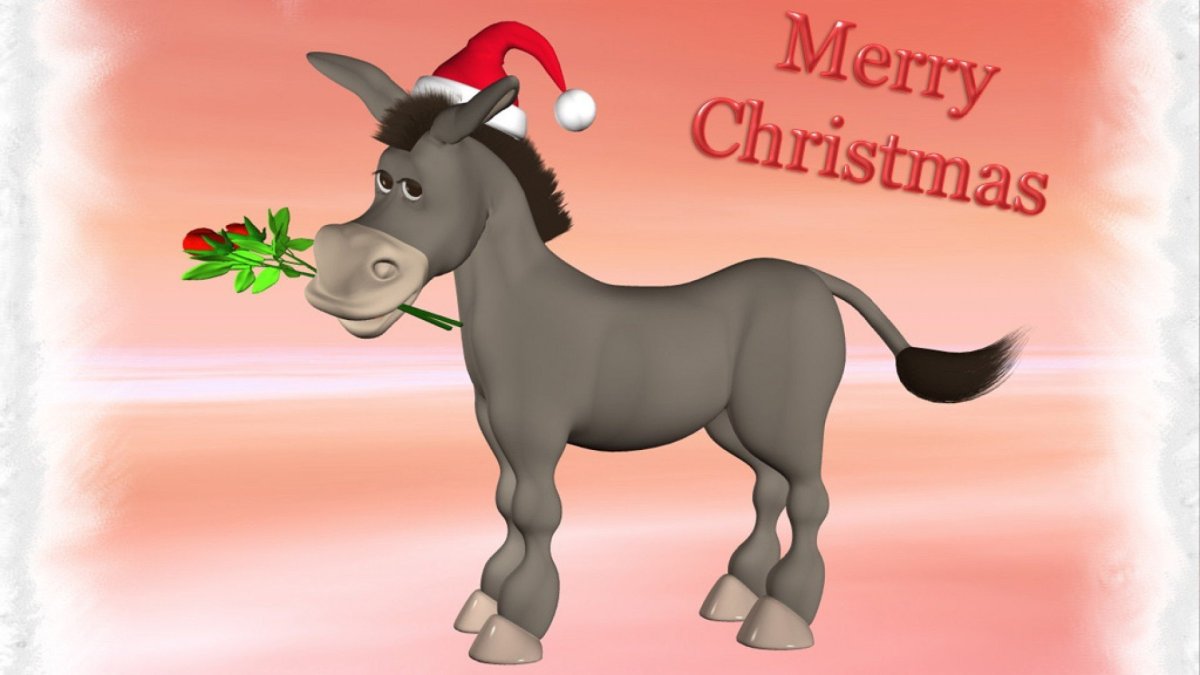 Ослик вектор