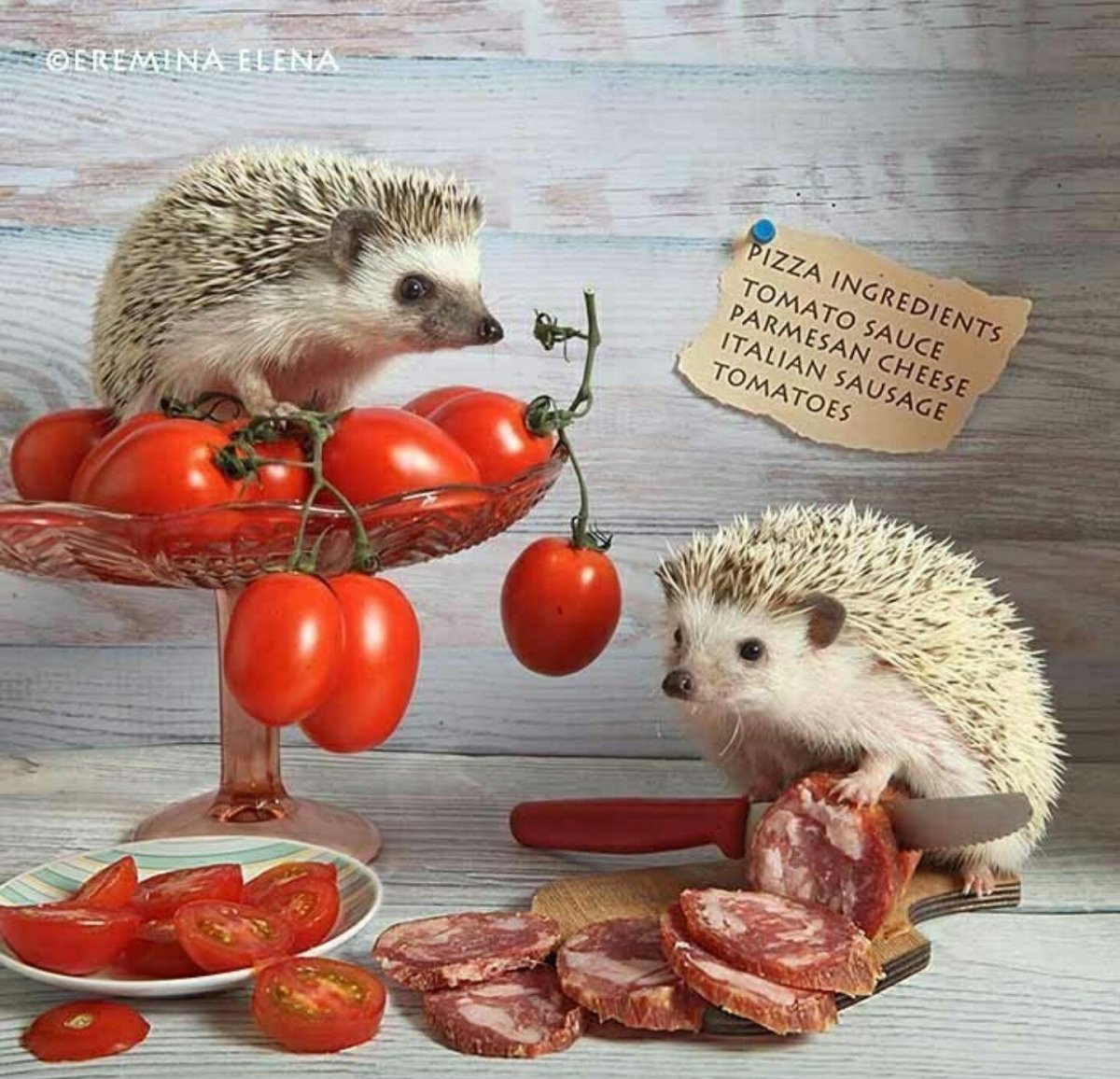 Ёжики Елены Ерёминой 2020