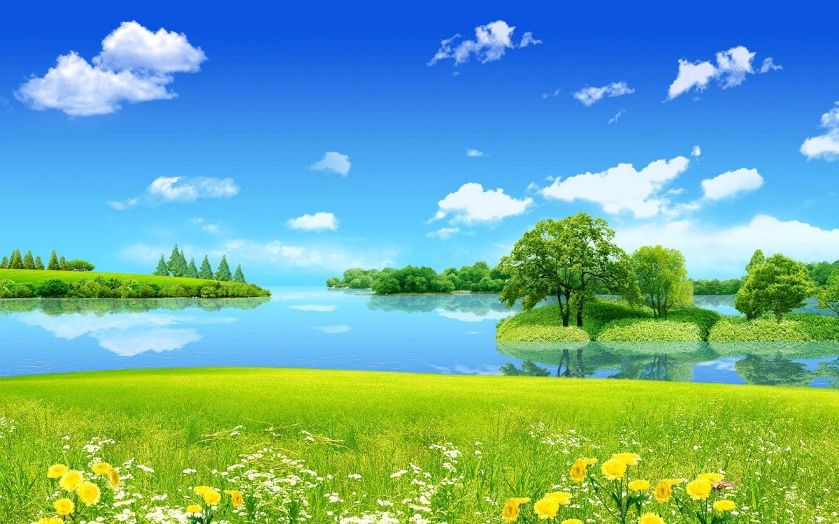 Летний Солнечный фон