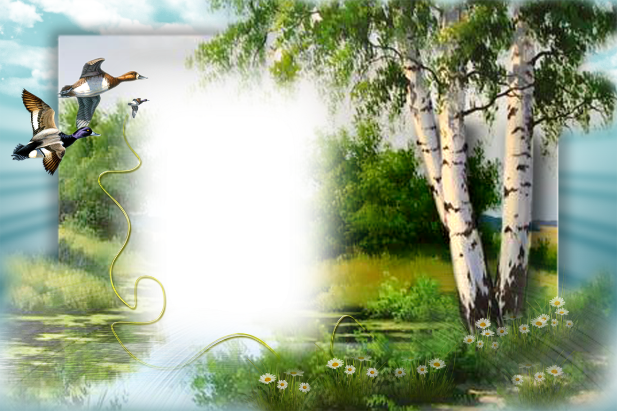 Красивые рамки с природой