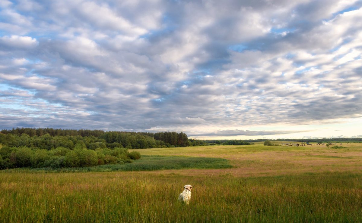 Просторы Чувашии