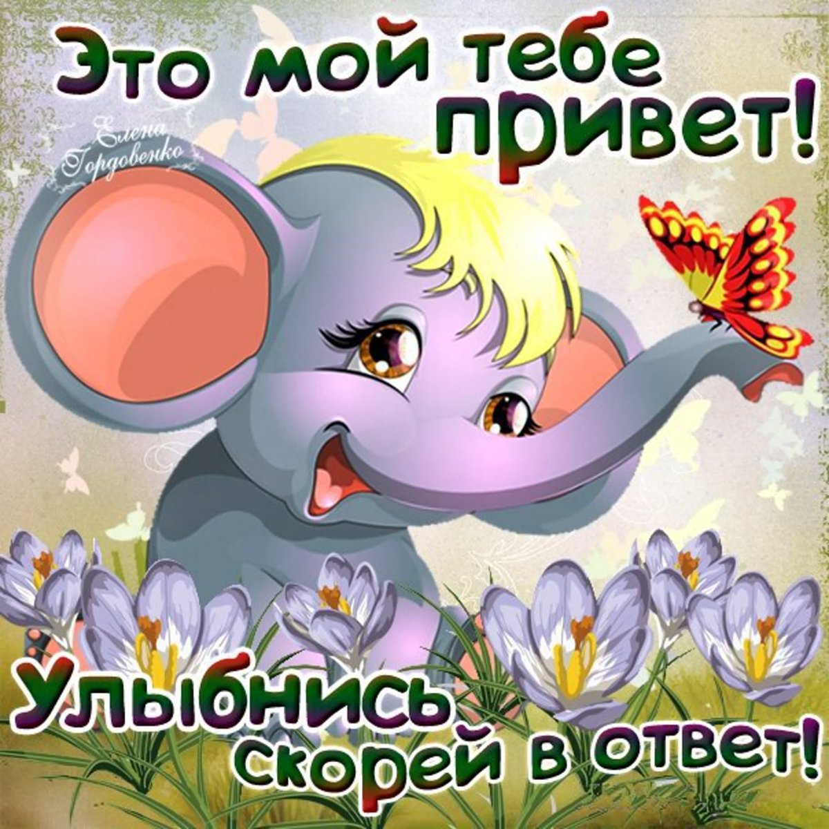 И тебе привет картинки