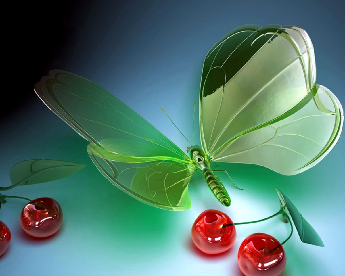 Бабочки ночью