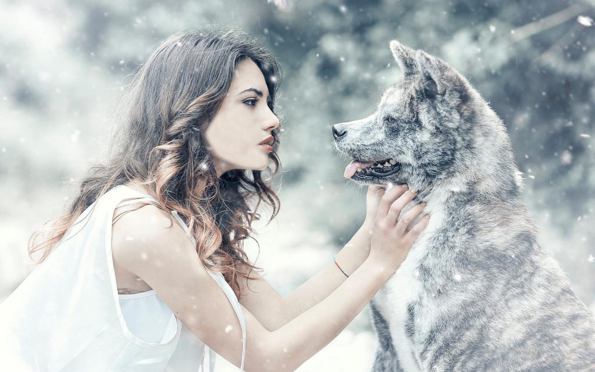 Волк обнимает девушку