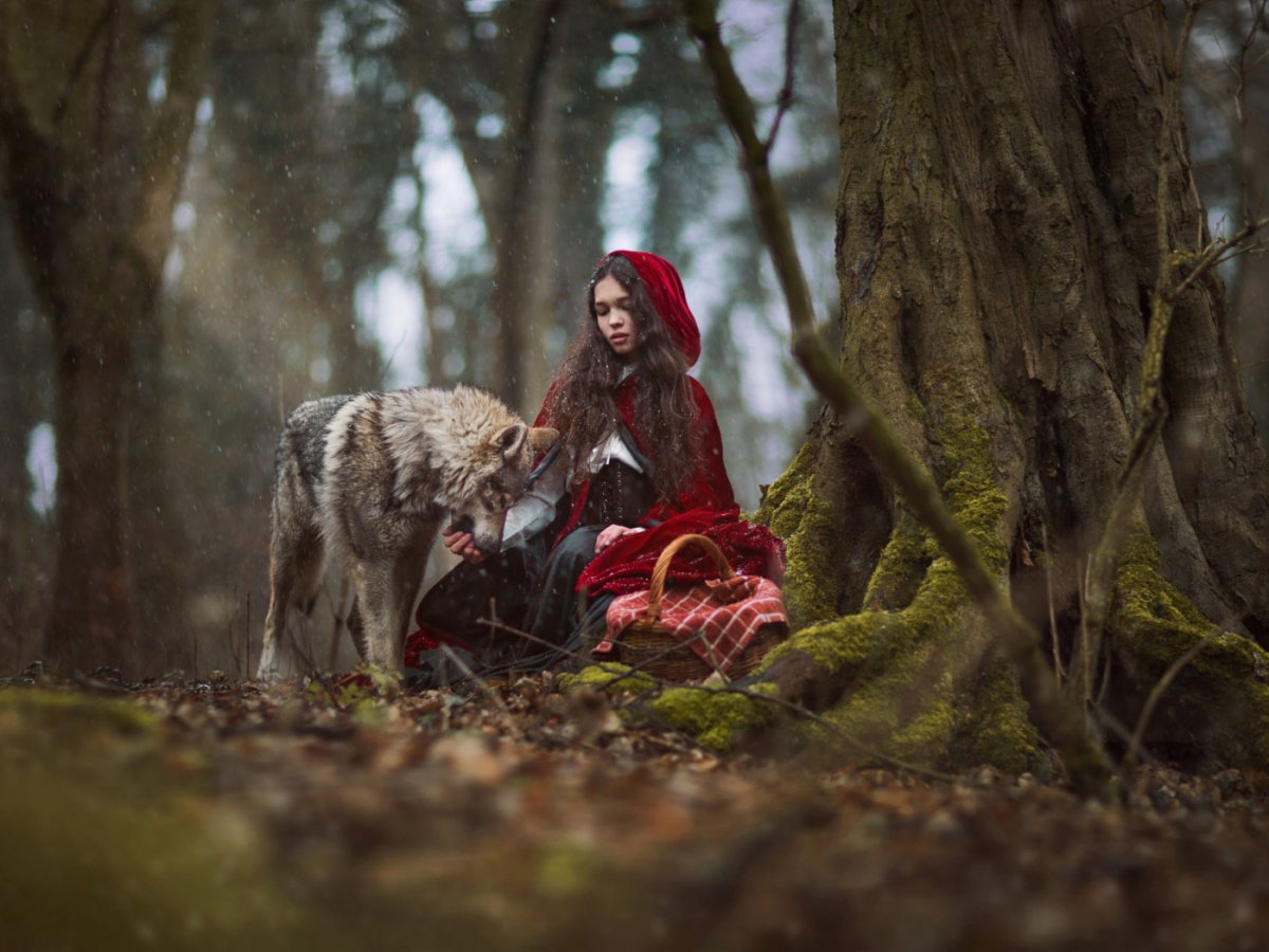 Красная шапочка фильм 2011 серый волк