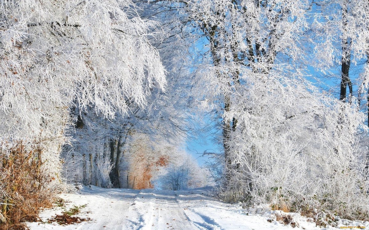 Снежная зима