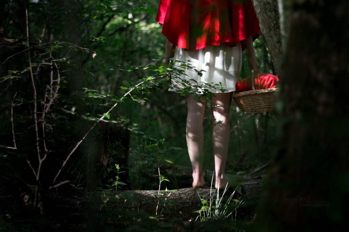 Красная шапочка в лесу