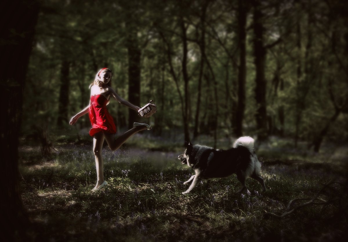 Красная шапочка в лесу