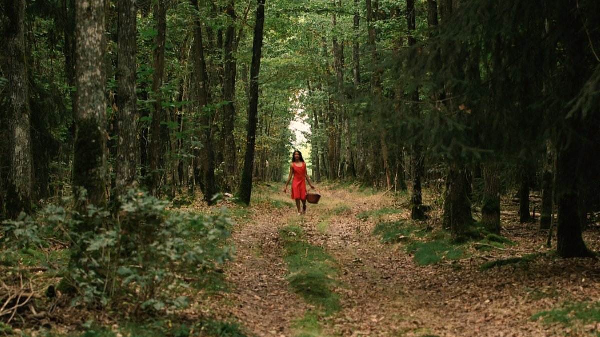 Красная шапочка в чернобыльском лесу