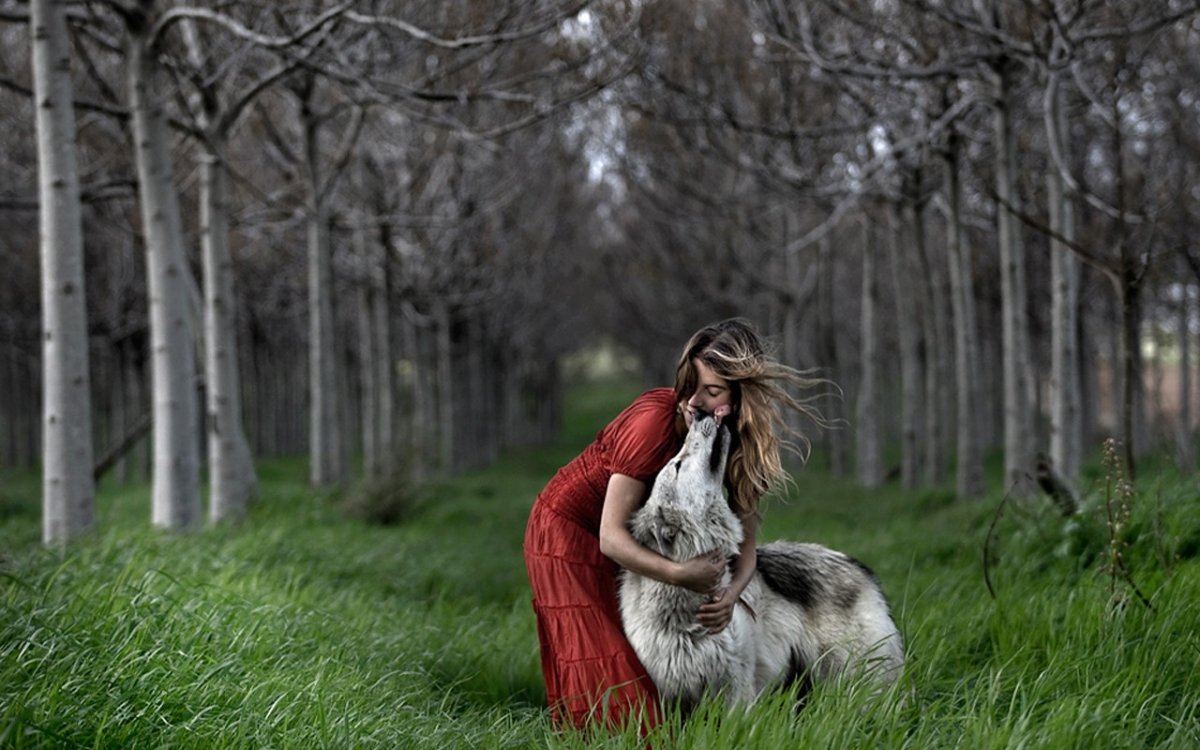 Волчица и девушка