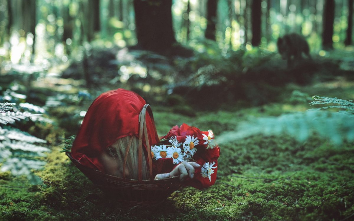 Красная шапочка в лесу