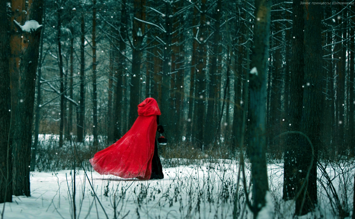 Красная шапочка в зимнем лесу