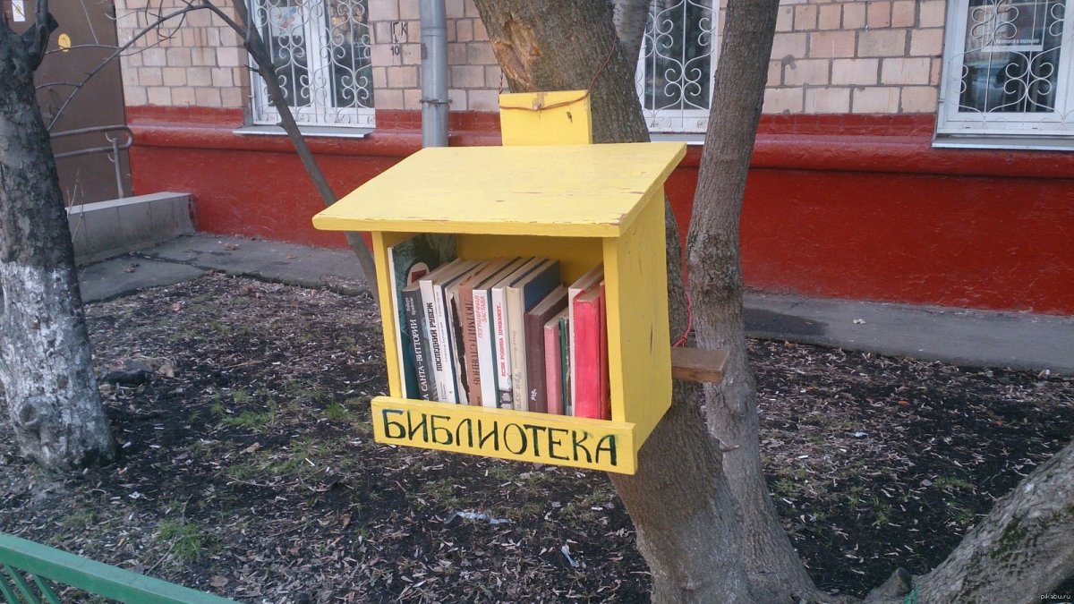 Сотрудник библиотеки рисунок на прозрачном фоне