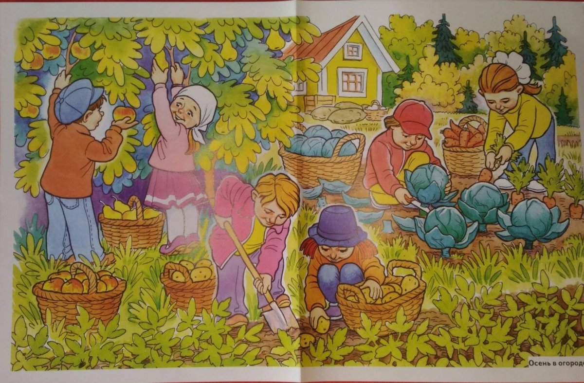 Дети собирают урожай