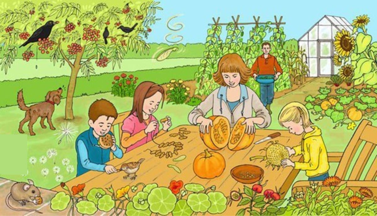 Занятия людей осенью