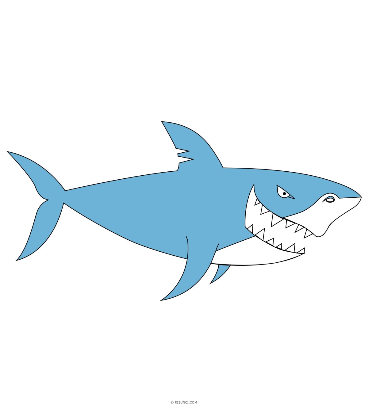 Акулы мультяшные на белом фоне