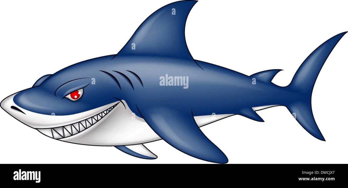 Акула рисунок