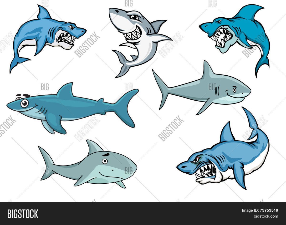 Акула рисунок