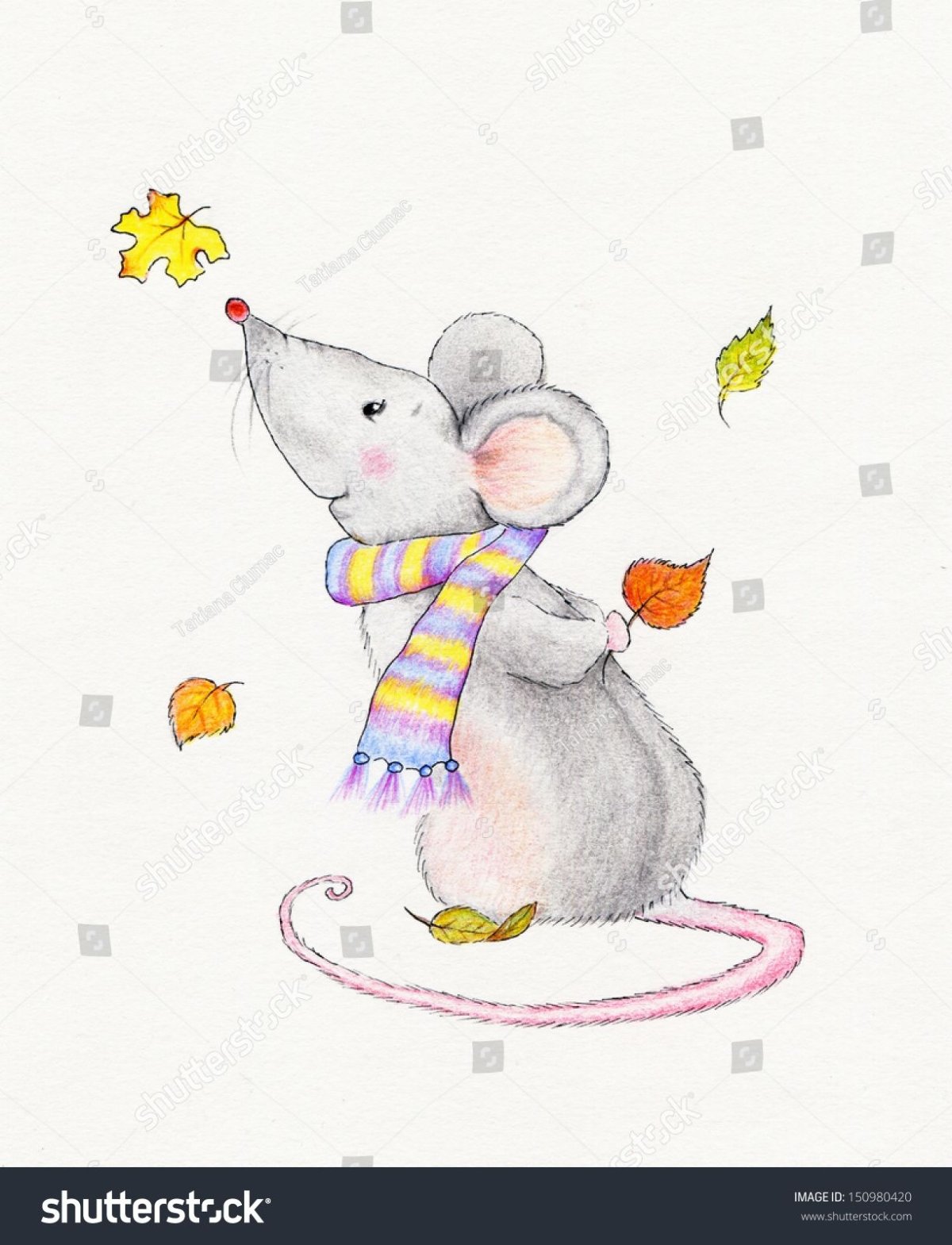 Мышка в шарфике рисунок
