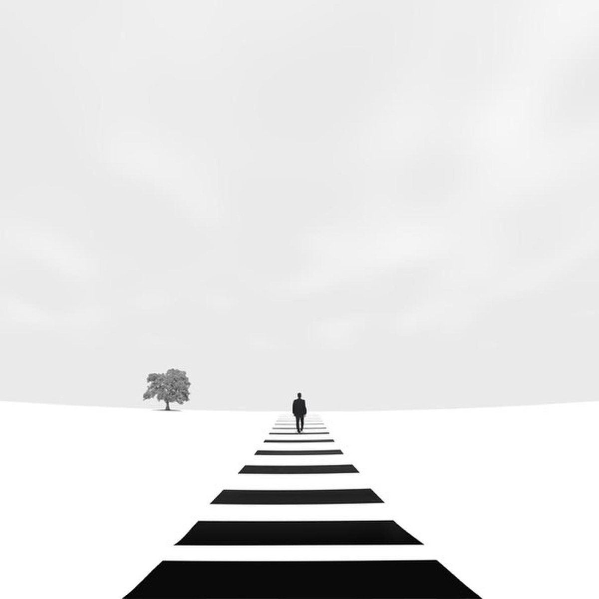 Жизнь не Зебра из черных