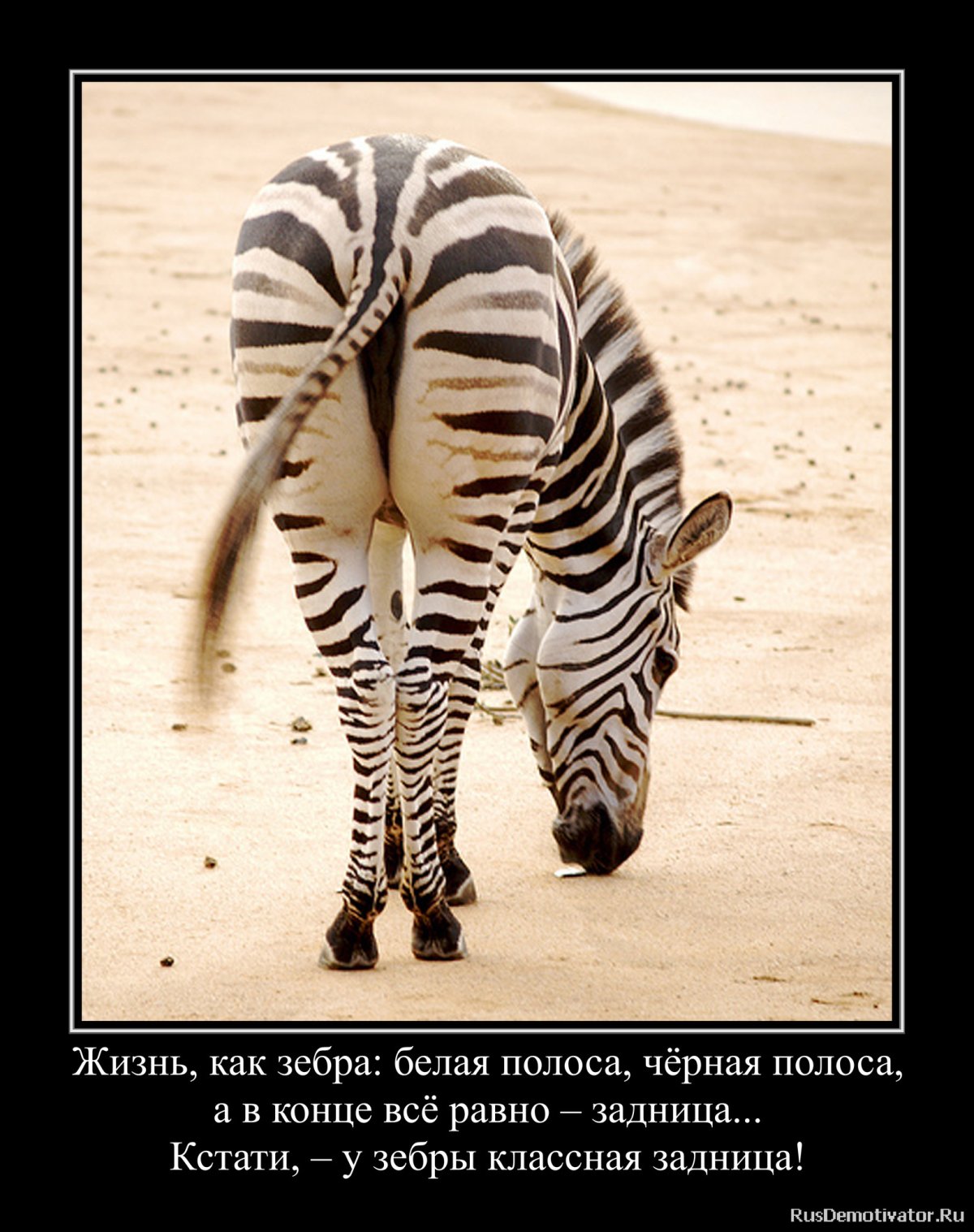 Черно белая полоса в жизни