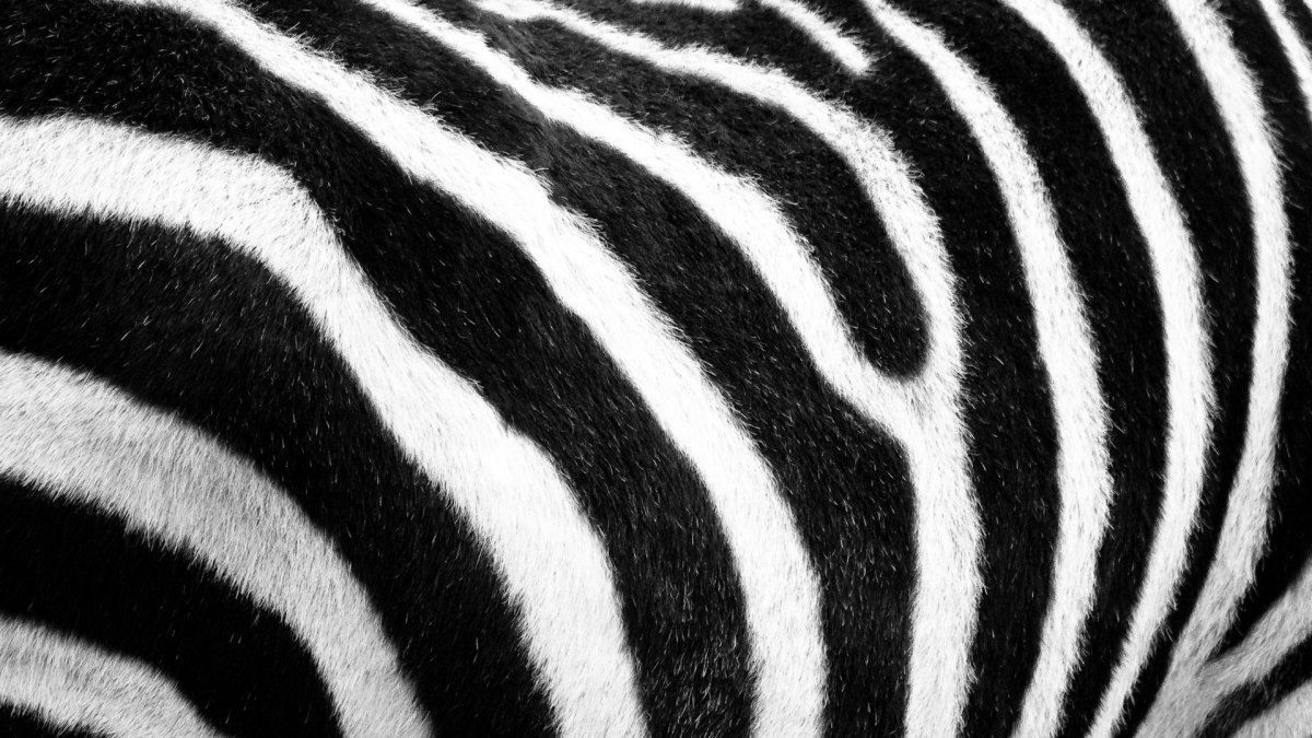 Эстетика черного и белог