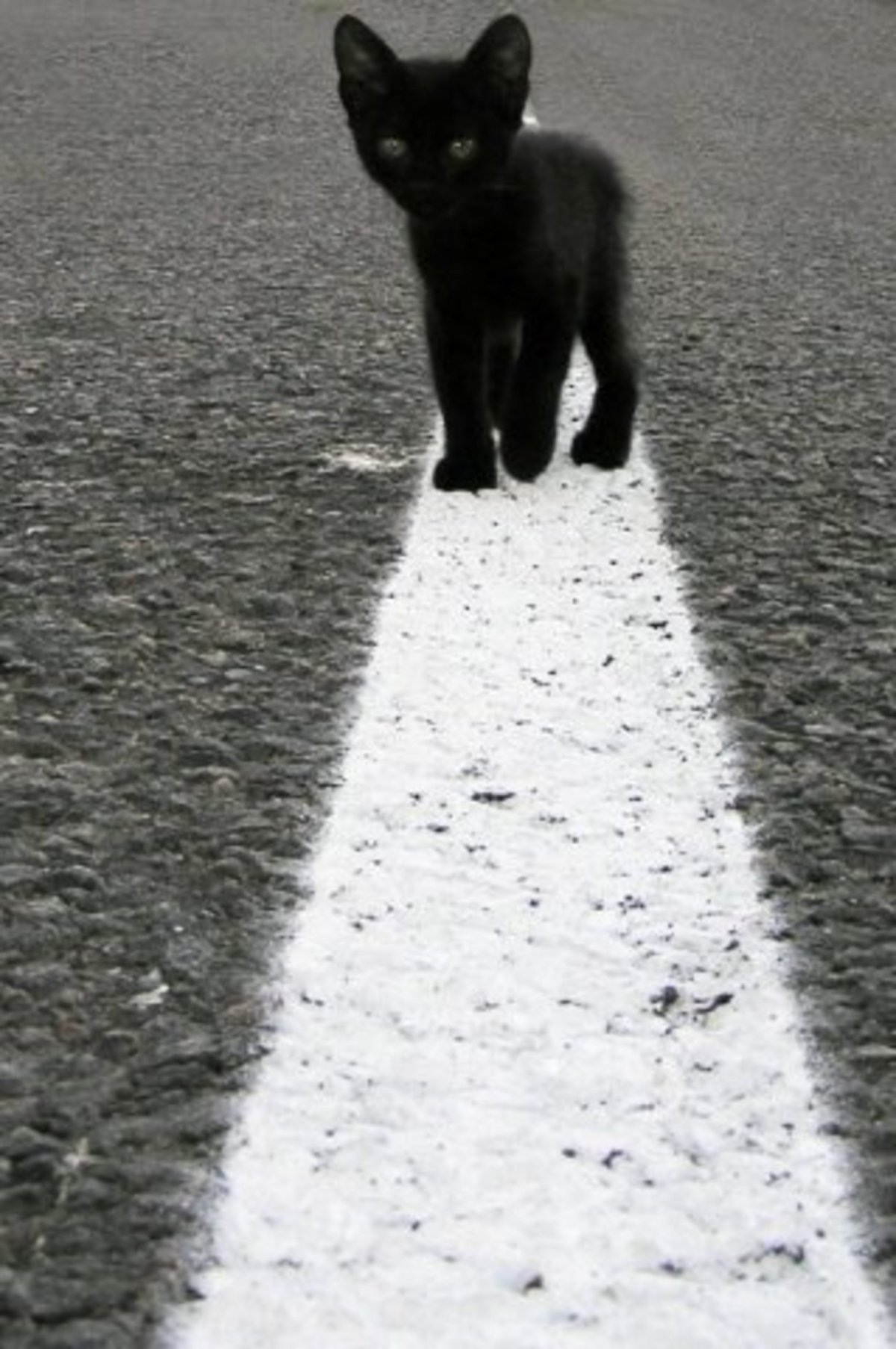 Белая полоса в жизни