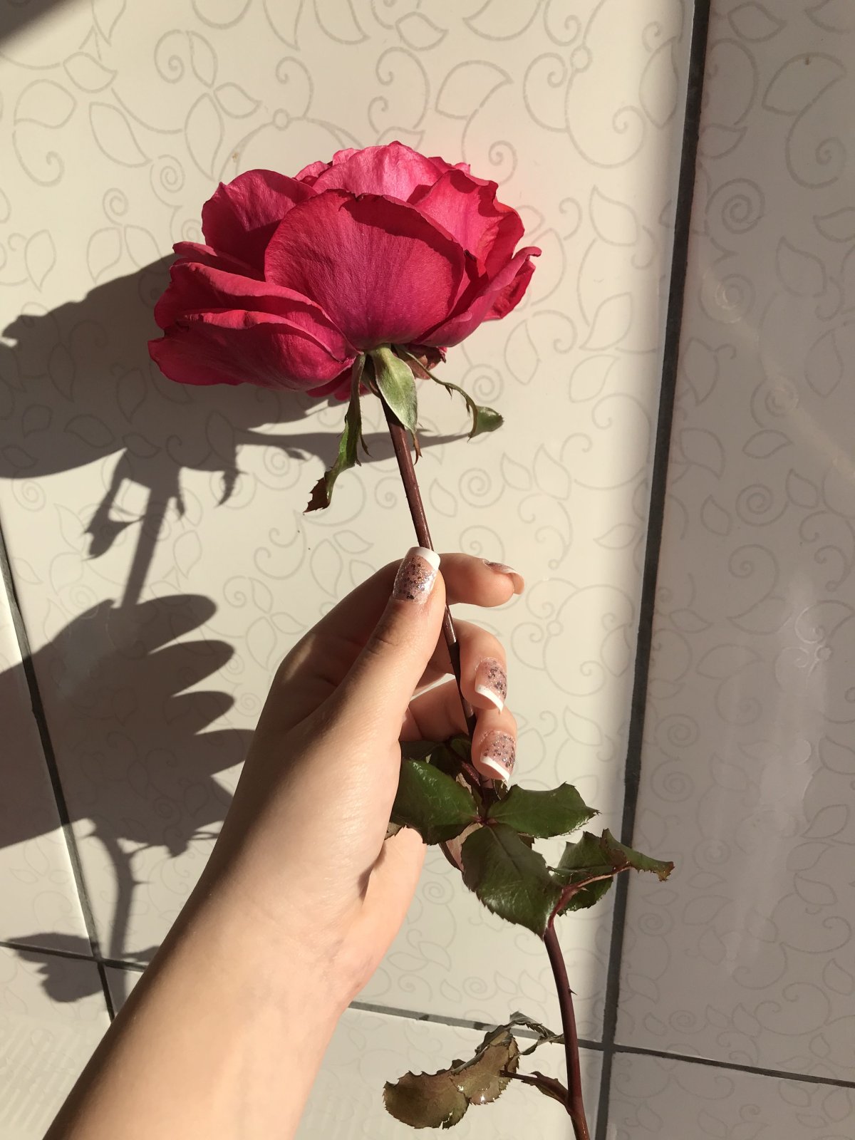 Красиво сфоткать розы