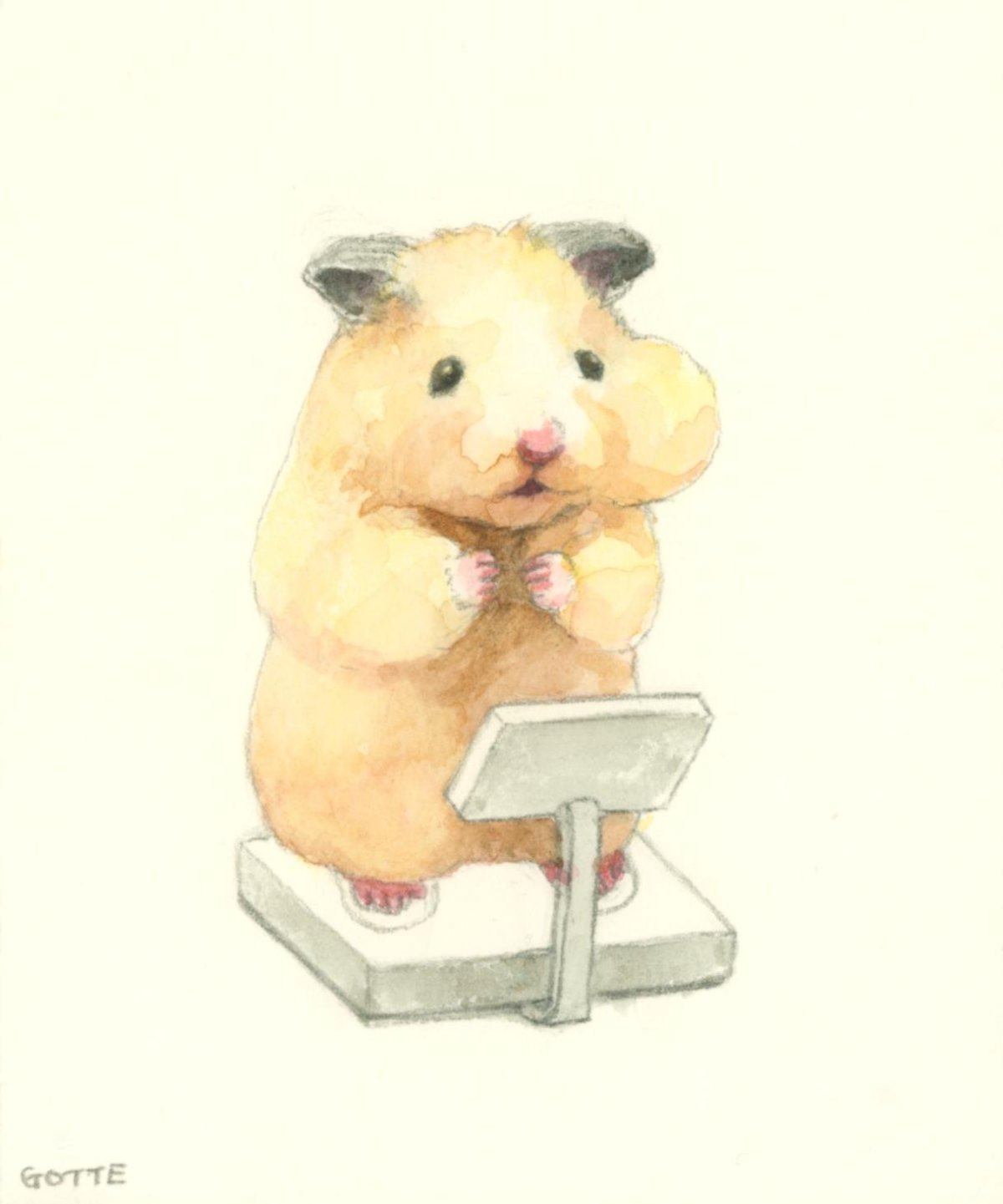 Хомячок хомячок добродушный