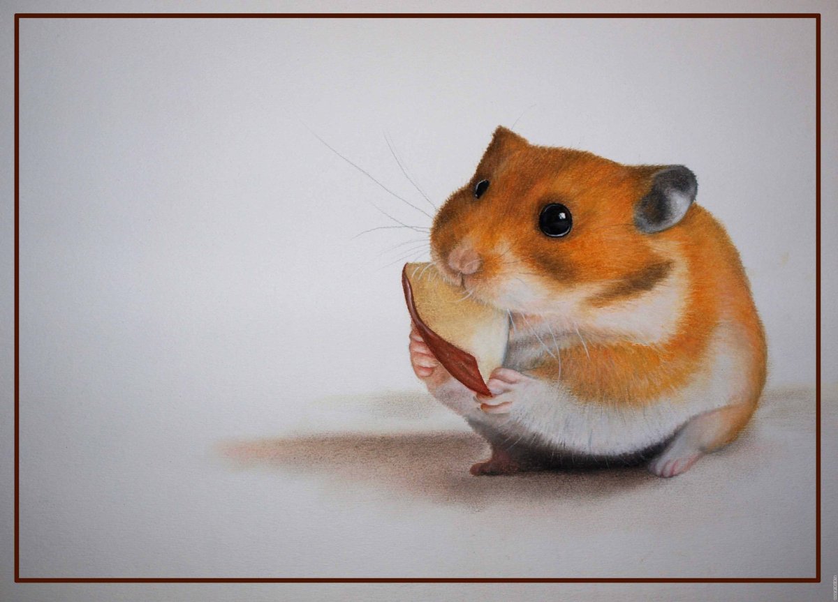 Хомяк арт