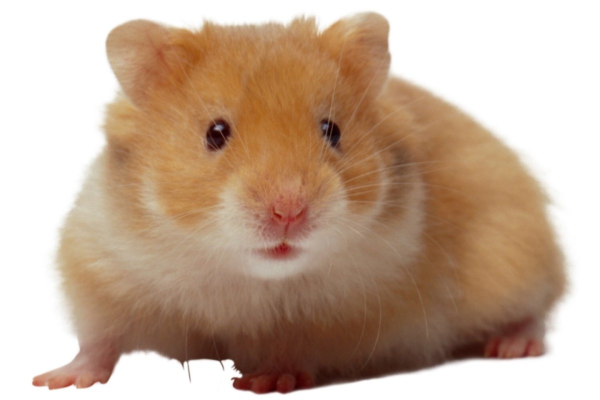 Милые картиночки