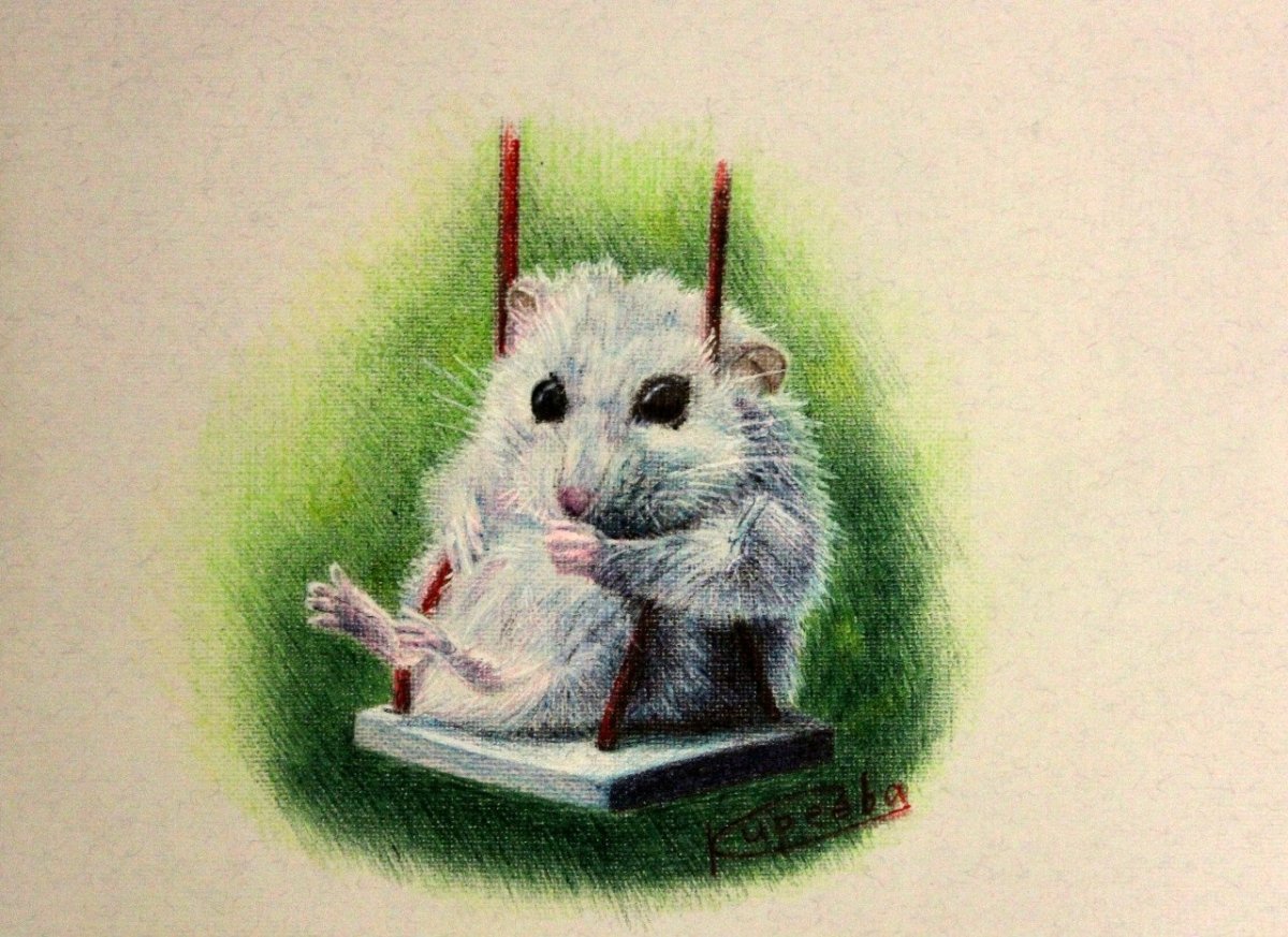 Хомячок иллюстрация