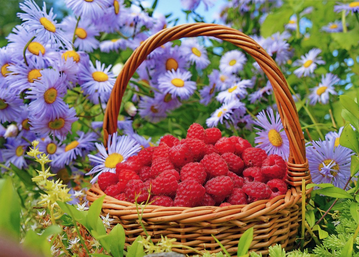 Красивое лето