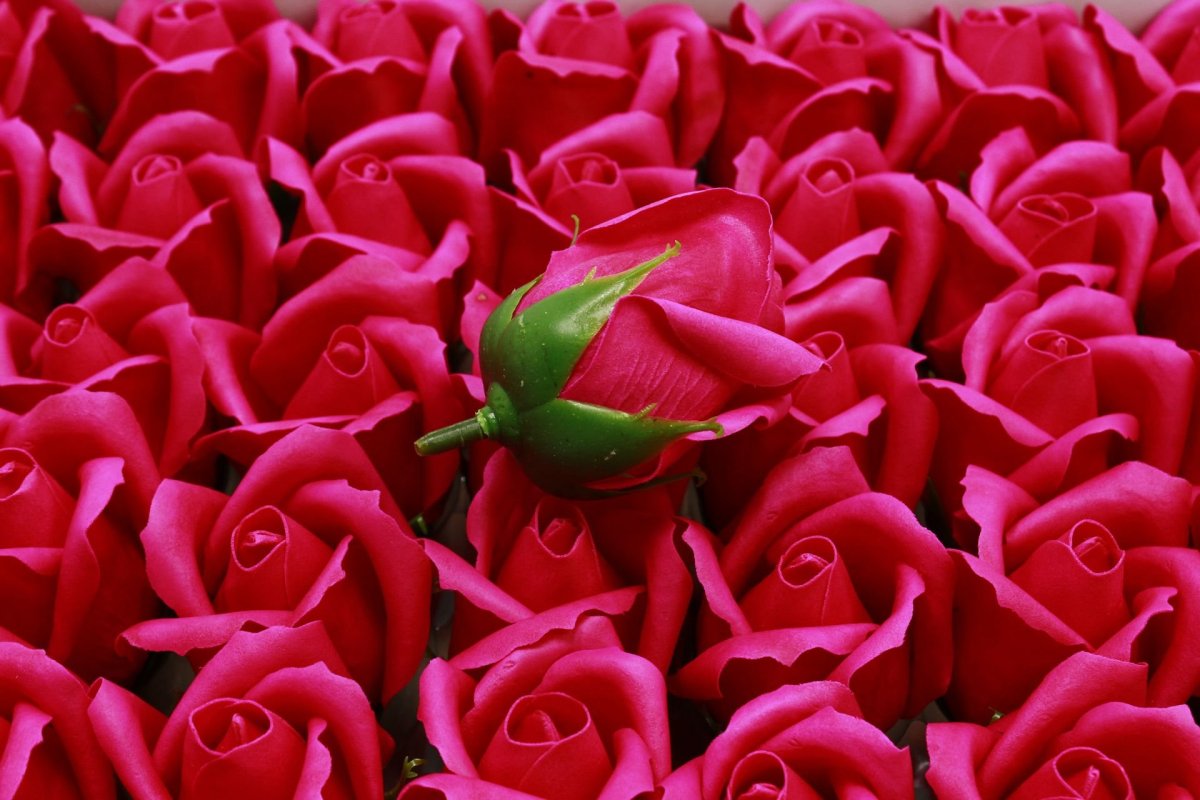 Малиновый цвет