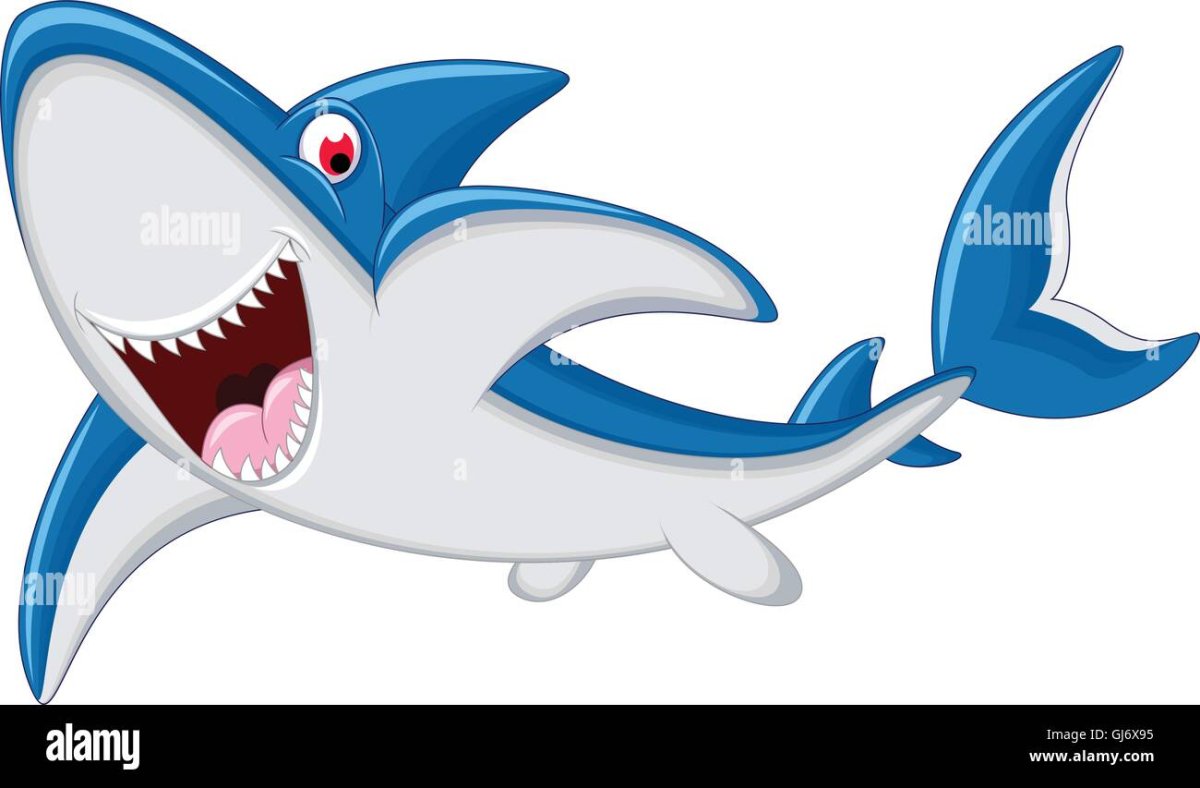 Carcharhinus Obscurus