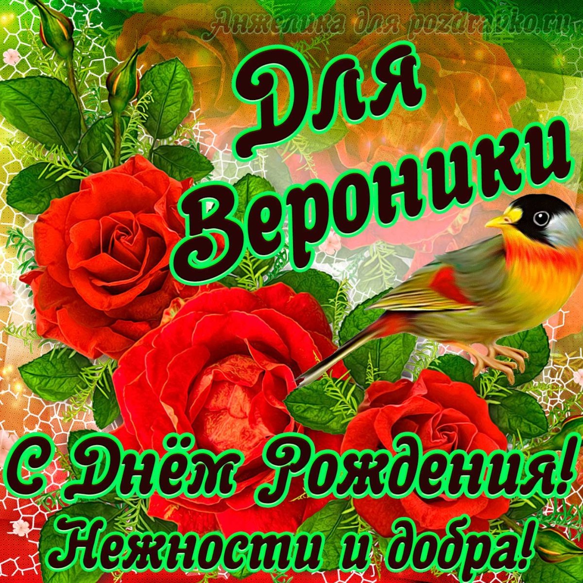 С днём рождения Веронияка
