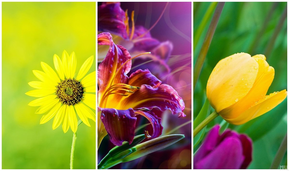 Черный фон абстракция