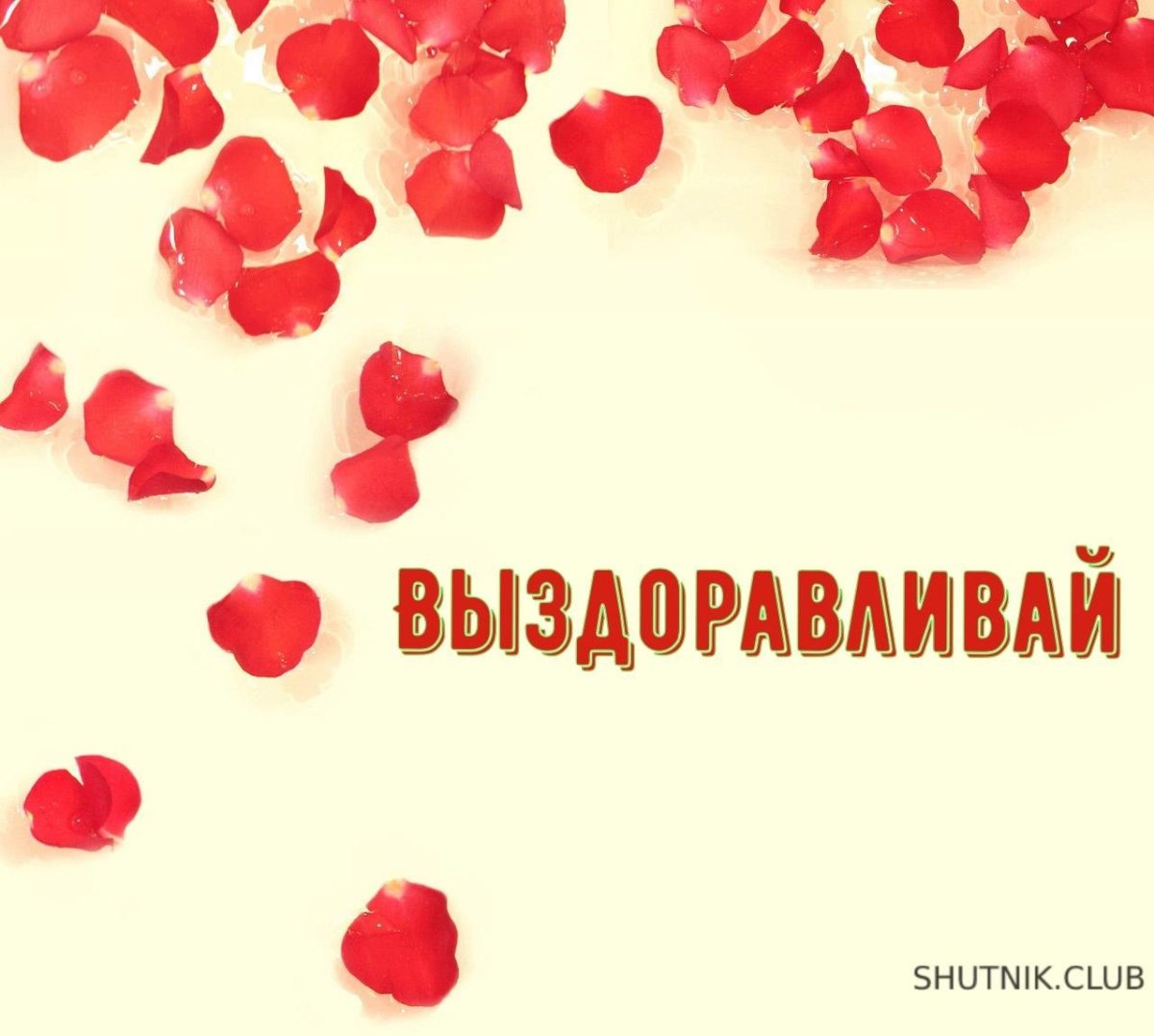 Открытки выздоравливай скорее