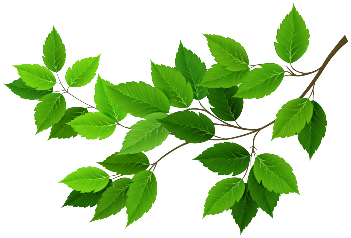 Веточка с листиками