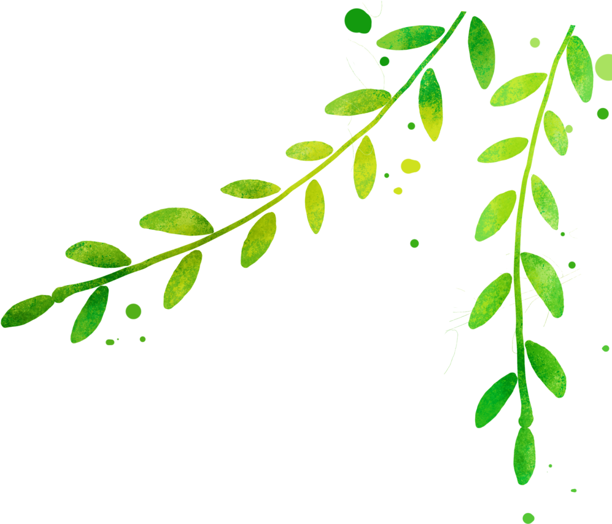 Зеленая веточка